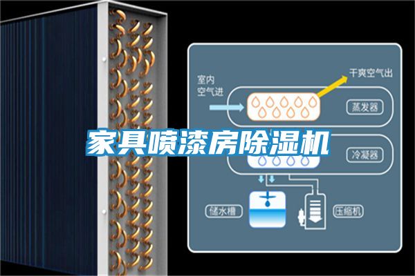 家具喷漆房除湿机
