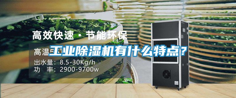 工业除湿机有什么特点？