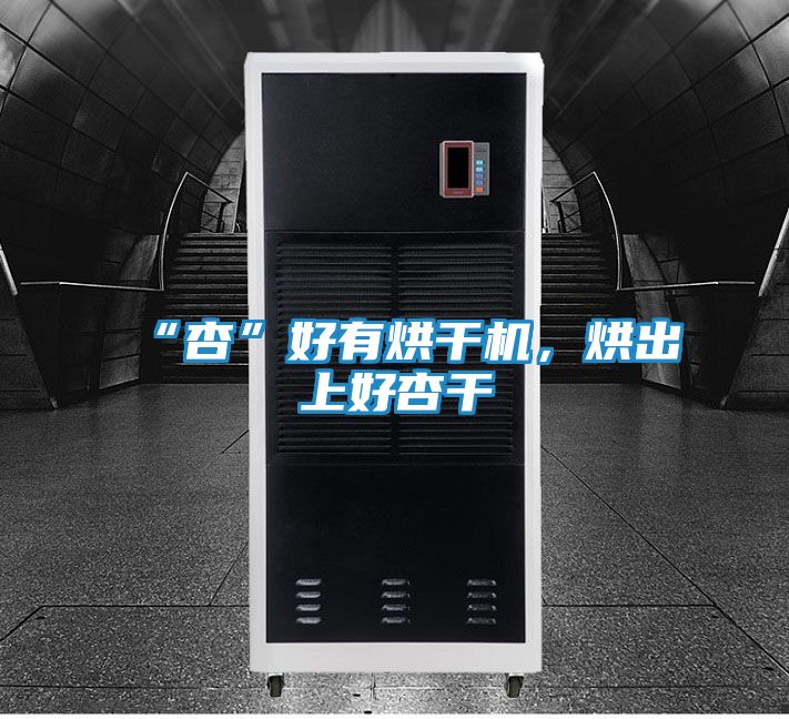 “杏”好有烘干机，烘出上好杏干
