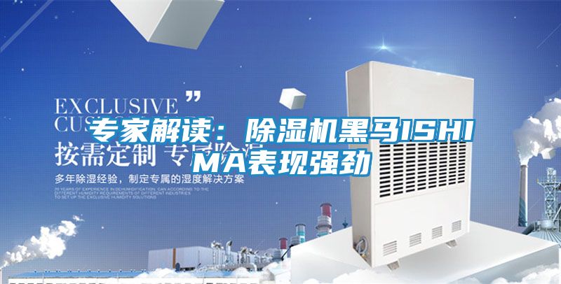 专家解读：除湿机黑马ISHIMA表现强劲