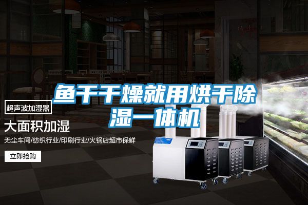 鱼干干燥就用烘干除湿一体机