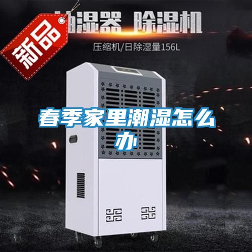 春季家里潮湿怎么办