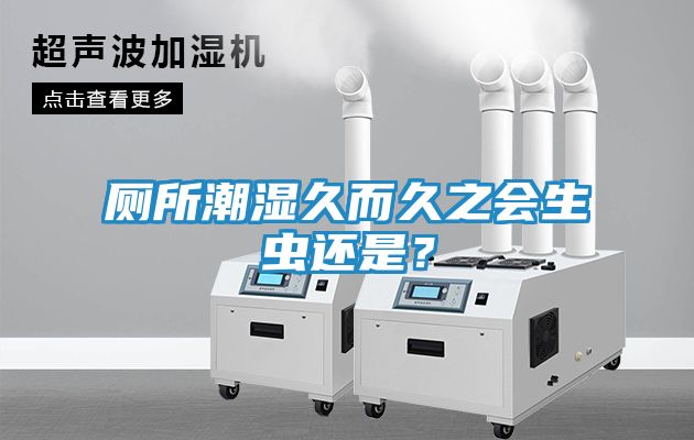 厕所潮湿久而久之会生虫还是？