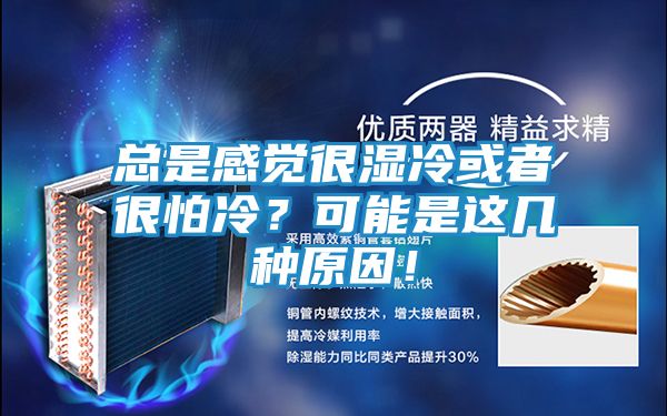 总是感觉很湿冷或者很怕冷?可能是这几种原因!