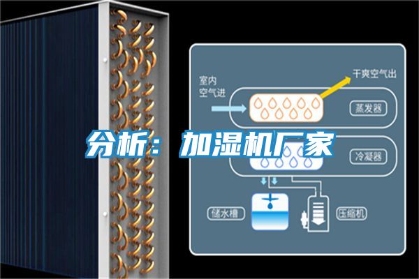 分析：加湿机厂家