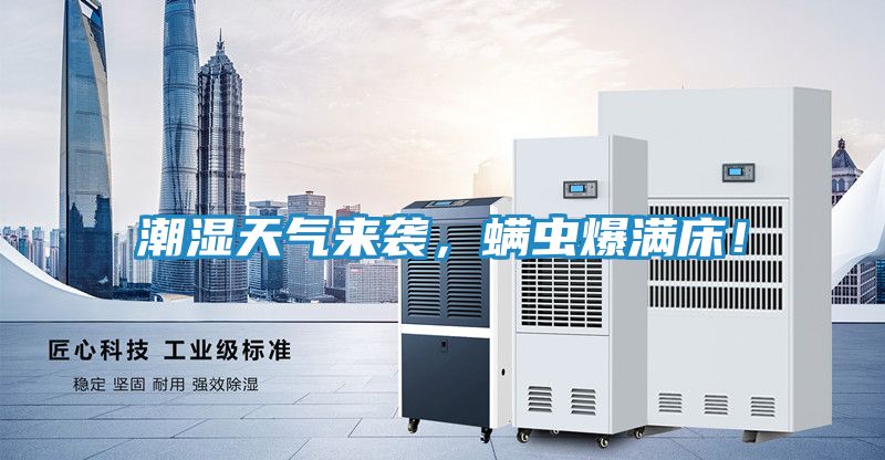 潮湿天气来袭，螨虫爆满床！
