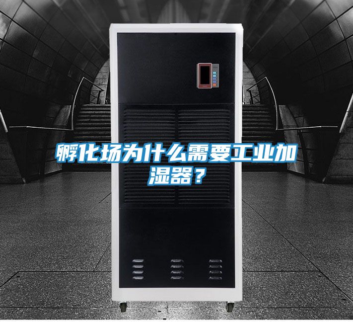 孵化场为什么需要工业加湿器？