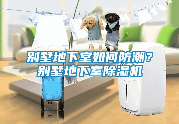 别墅地下室如何防潮？别墅地下室除湿机