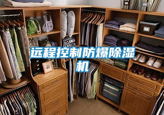 远程控制防爆除湿机