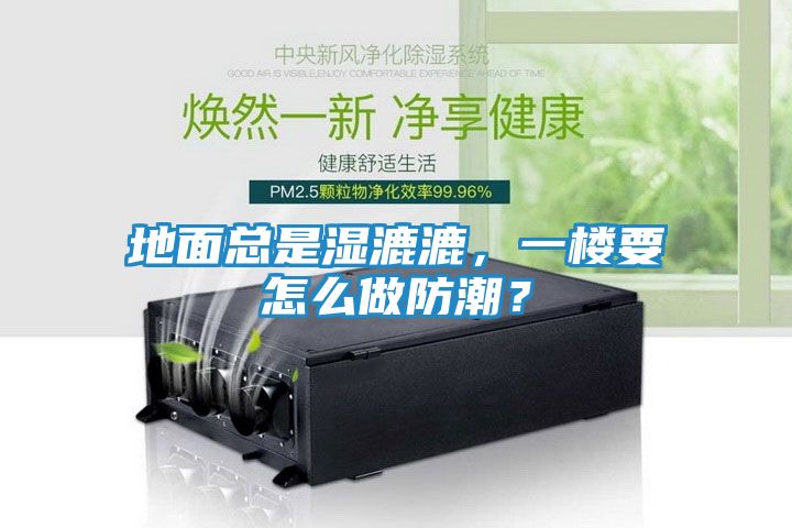 地面总是湿漉漉，一楼要怎么做防潮？
