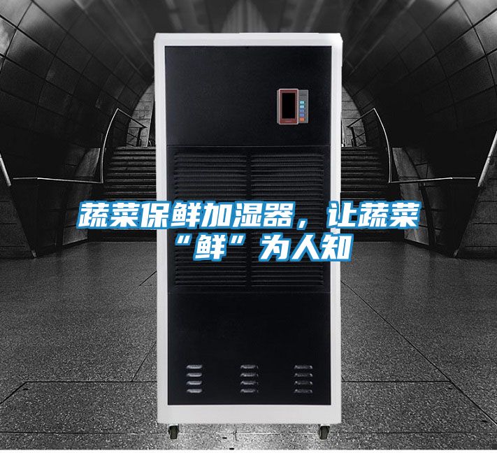 蔬菜保鲜加湿器，让蔬菜“鲜”为人知