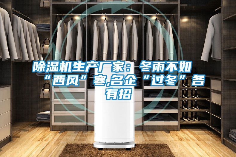 除湿机生产厂家：冬雨不如“西风”寒,名企“过冬”各有招