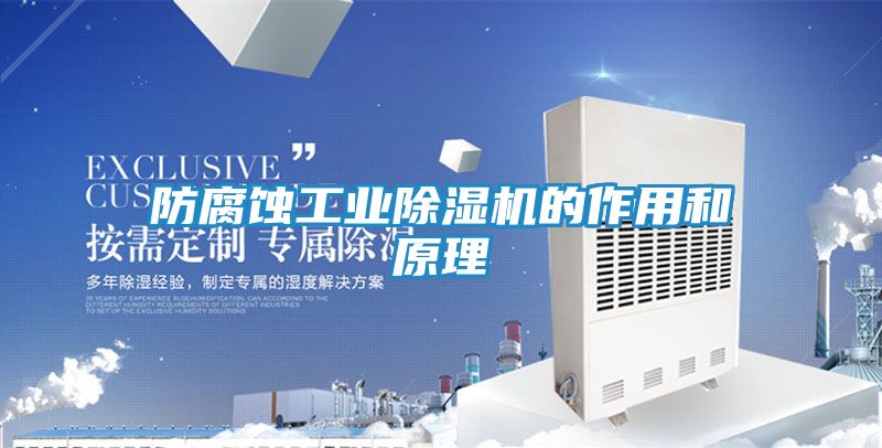 防腐蚀工业除湿机的作用和原理