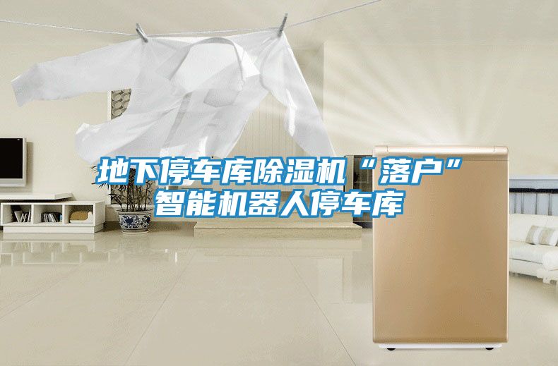 地下停车库除湿机“落户”智能机器人停车库