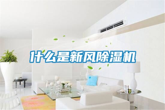 什么是新风除湿机