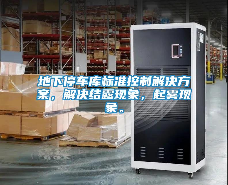 地下停车库标准控制解决方案，解决结露现象，起雾现象。