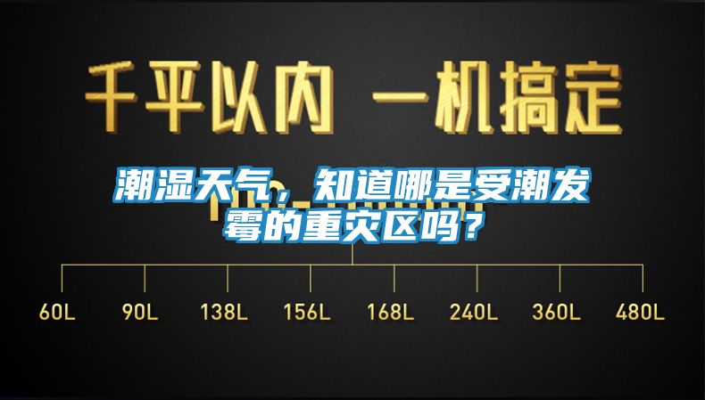 潮湿天气，知道哪是受潮发霉的重灾区吗？