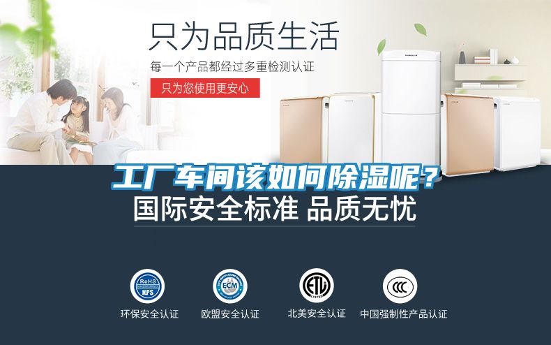 工厂车间该如何除湿呢？