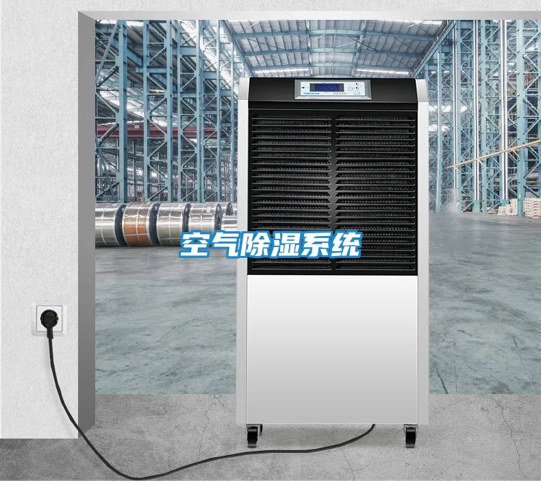空气除湿系统