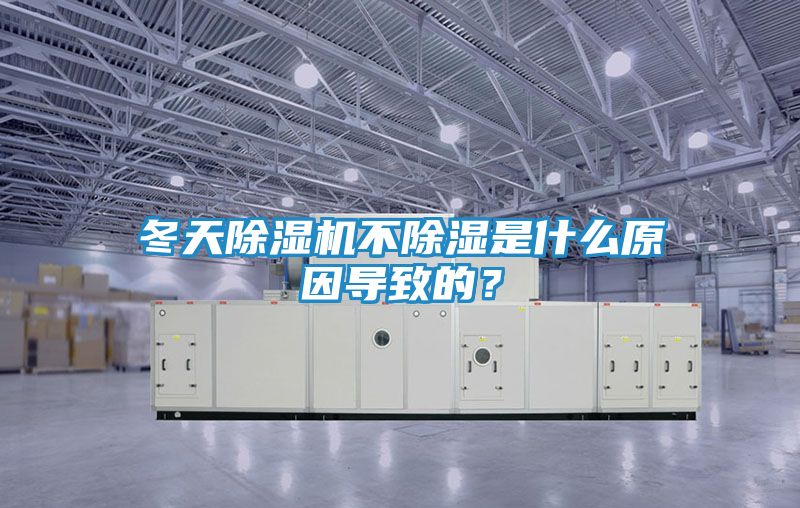冬天除湿机不除湿是什么原因导致的？