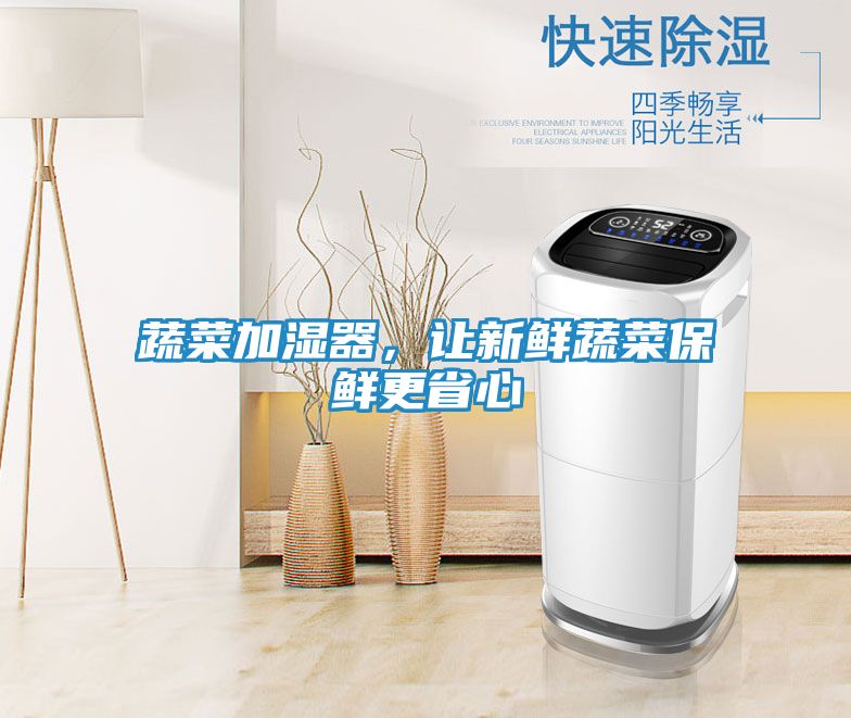 蔬菜加湿器，让新鲜蔬菜保鲜更省心