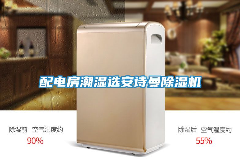 配电房潮湿选安诗曼除湿机