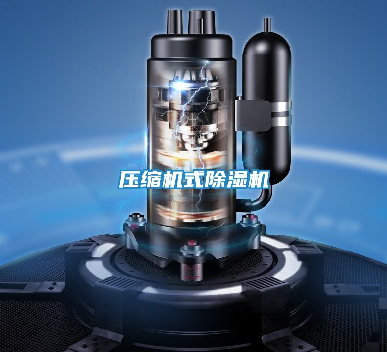 压缩机式除湿机