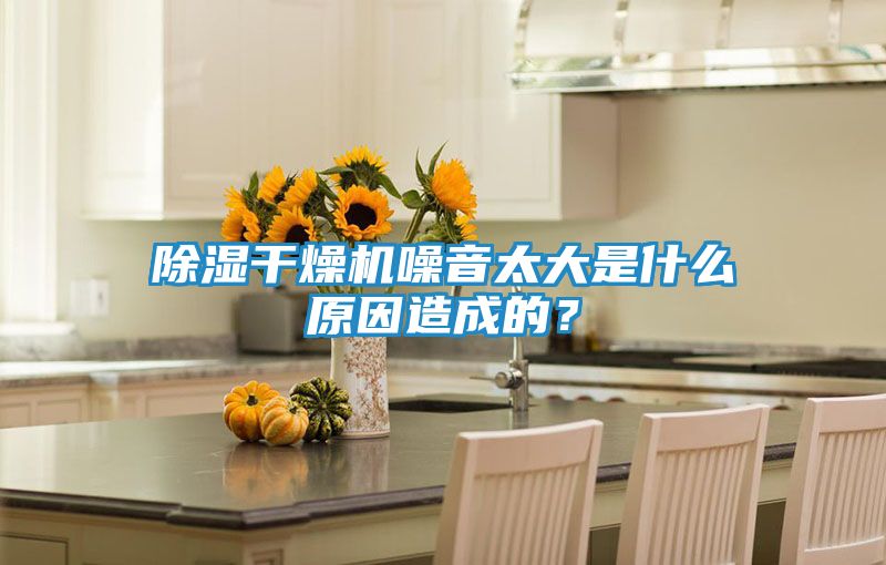 除湿干燥机噪音太大是什么原因造成的？