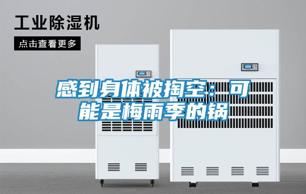 感到身体被掏空：可能是梅雨季的锅