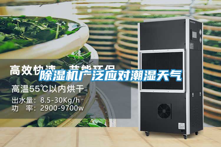 除湿机广泛应对潮湿天气