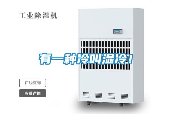 有一种冷叫湿冷！