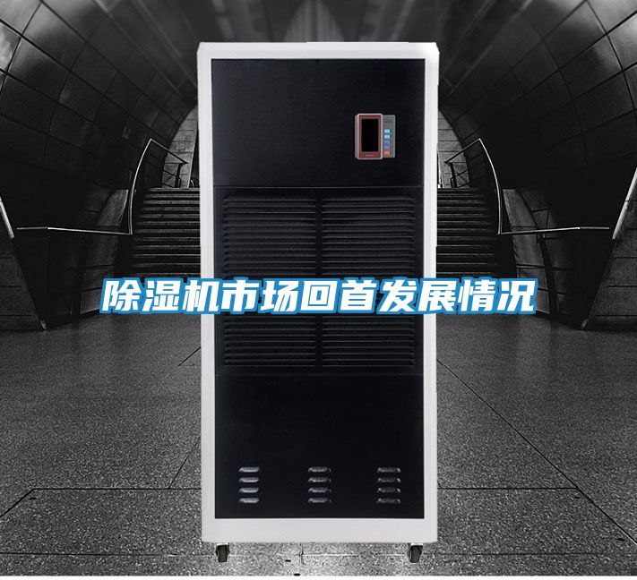 除湿机市场回首发展情况