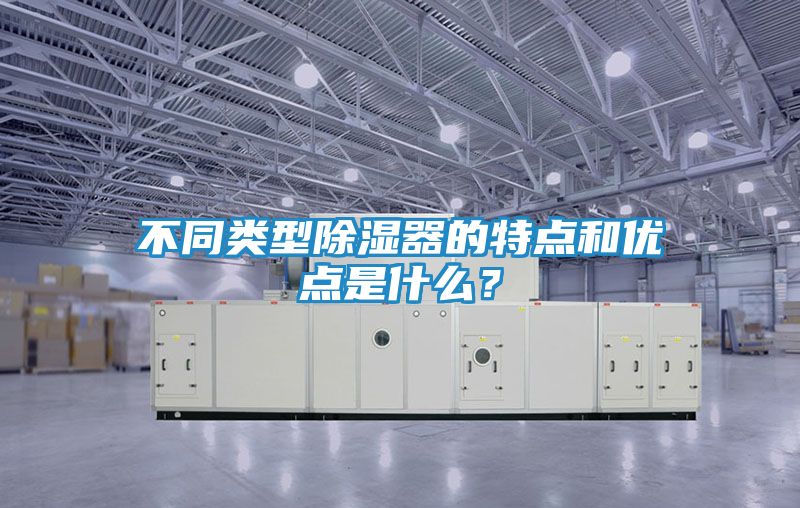 不同类型除湿器的特点和优点是什么?