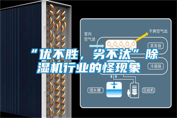 “优不胜,劣不汰”除湿机行业的怪现象