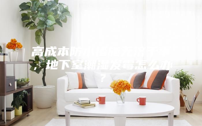 高成本防水措施无济于事,地下室潮湿发霉怎么办?