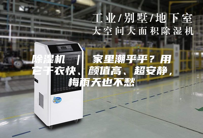 除湿机 | 家里潮乎乎?用它干衣快、颜值高、超安静,梅雨天也不愁