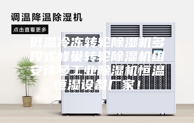 低温冷冻转轮除湿机多段式蜂巢转轮除湿机组安诗曼工业除湿机恒温恒湿设备厂家!