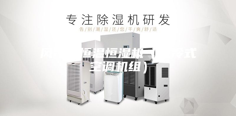 风冷式恒温恒湿机(风冷式空调机组)