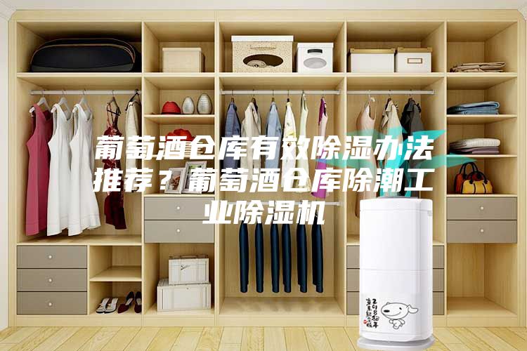 葡萄酒仓库有效除湿办法推荐？葡萄酒仓库除潮工业除湿机