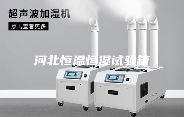 河北恒温恒湿试验箱