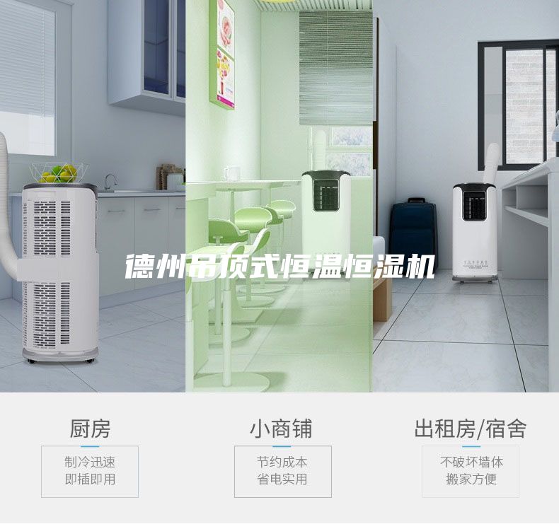 德州吊顶式恒温恒湿机