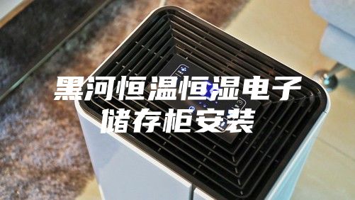 黑河恒温恒湿电子储存柜安装