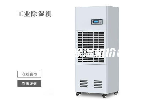 黄石泳池除湿机价格