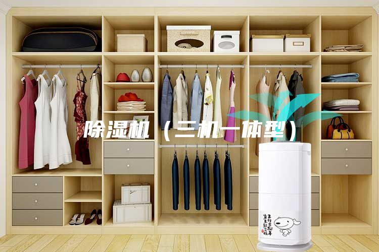 除湿机（三机一体型）