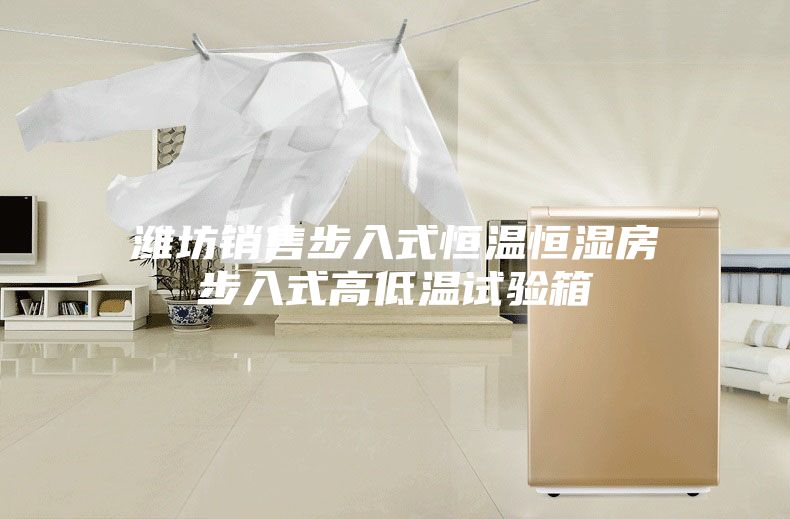 潍坊销售步入式恒温恒湿房步入式高低温试验箱