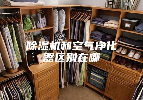 除湿机和空气净化器区别在哪