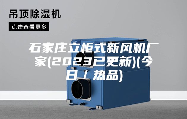 石家庄立柜式新风机厂家(2023已更新)(今日／热品)