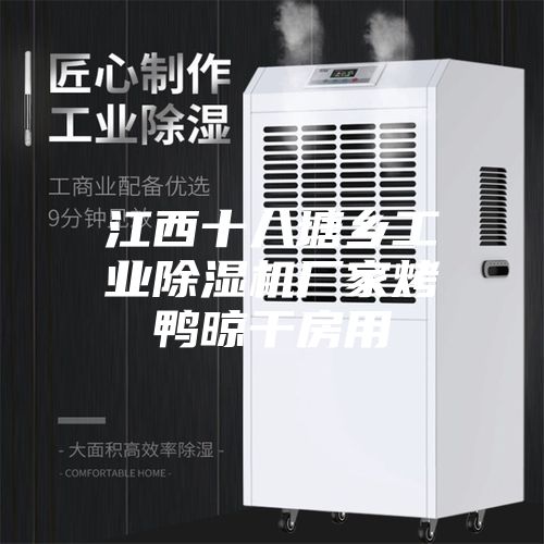 江西十八塘乡工业除湿机厂家烤鸭晾干房用
