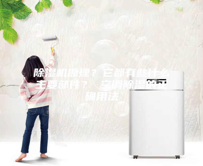 除湿机原理?它都有些什么主要部件? 空调除湿的正确用法
