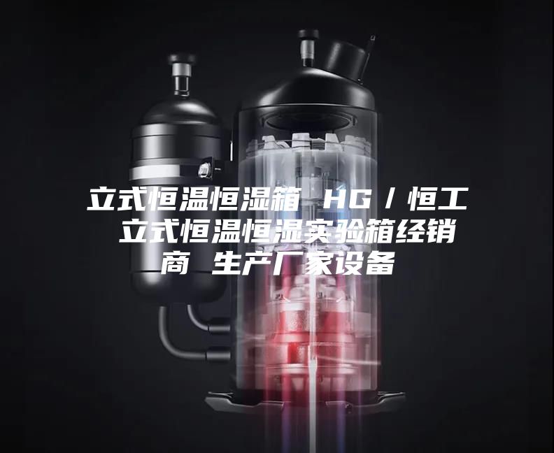 立式恒温恒湿箱 HG／恒工 立式恒温恒湿实验箱经销商 生产厂家设备